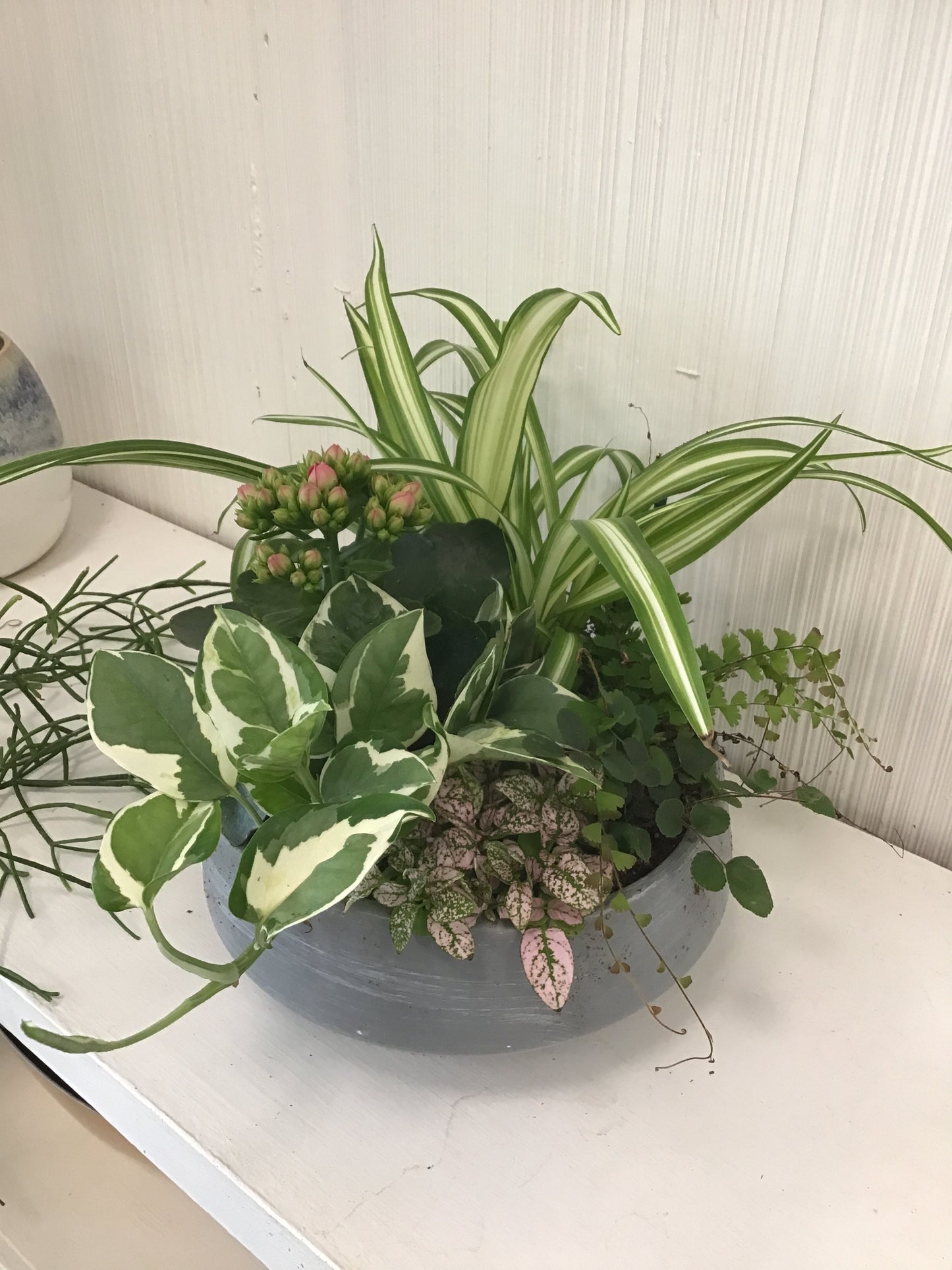 8” Euro Garden