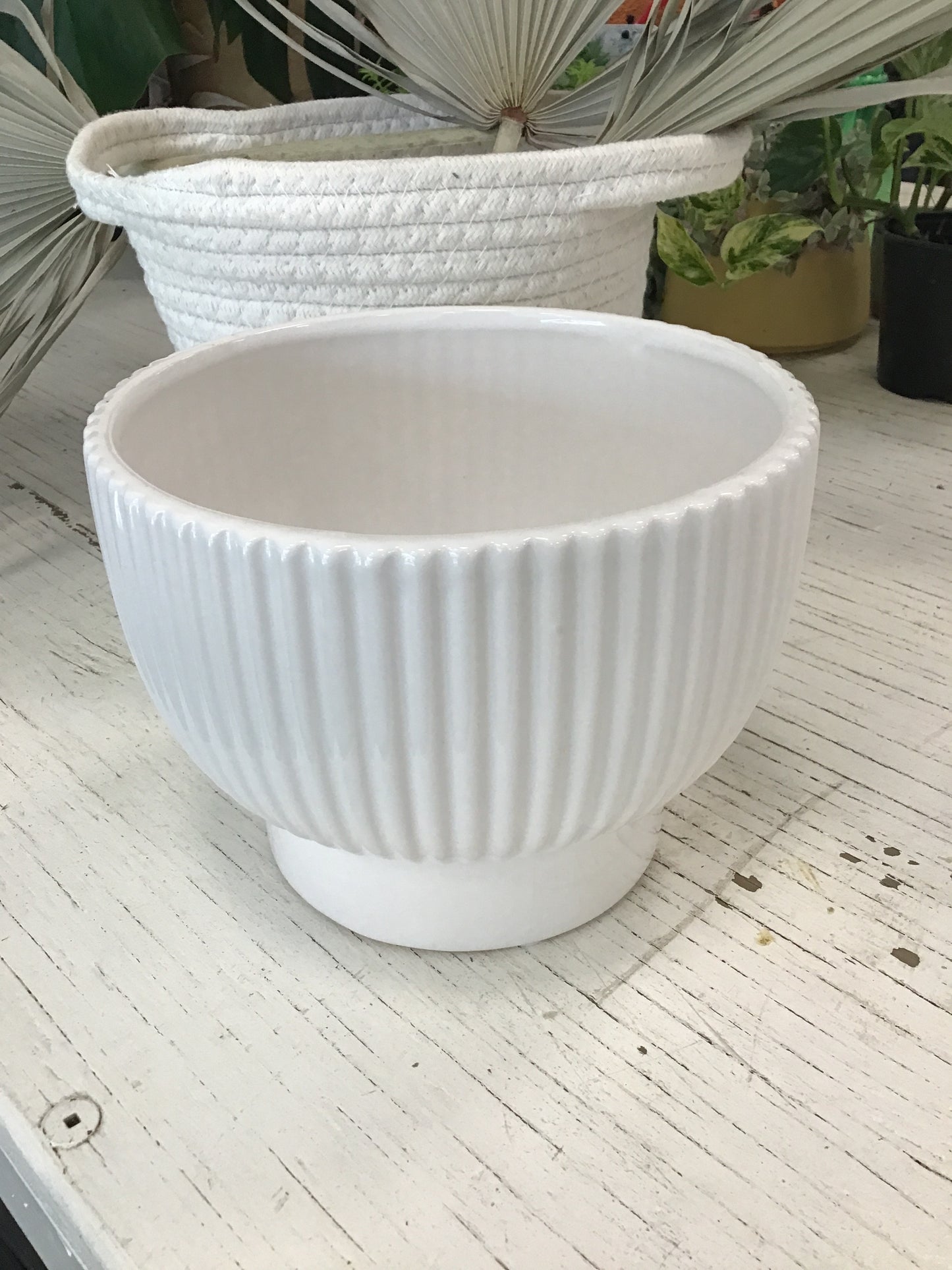Shiny White Dolomite Container