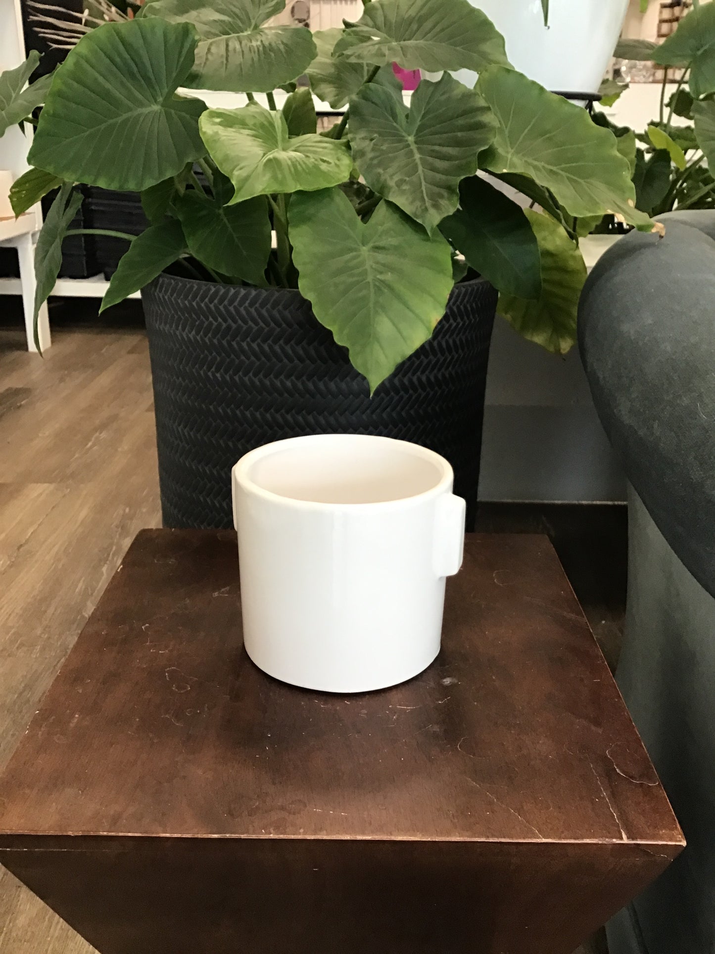Big Ear Pot