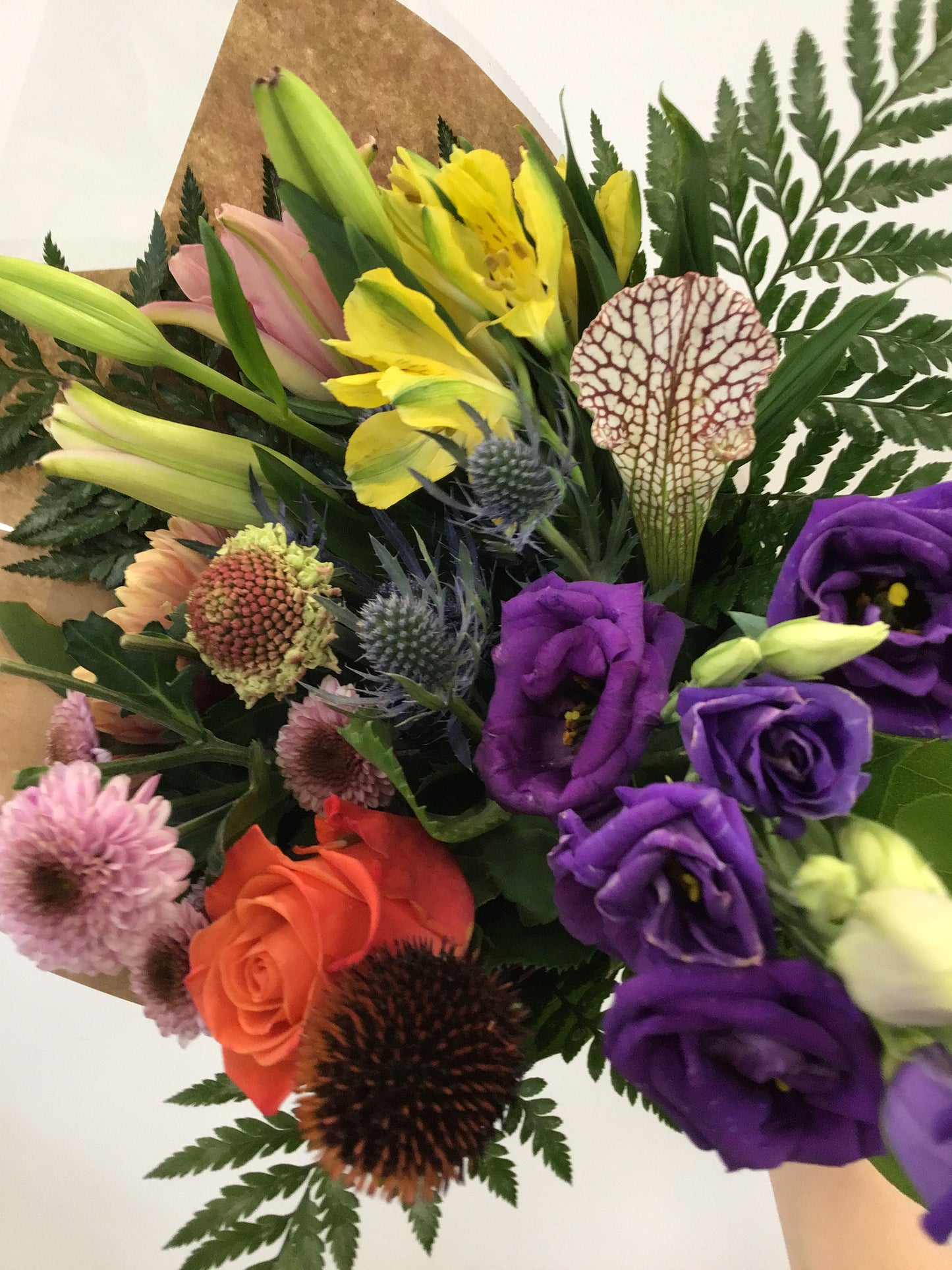 Cut Flower Club