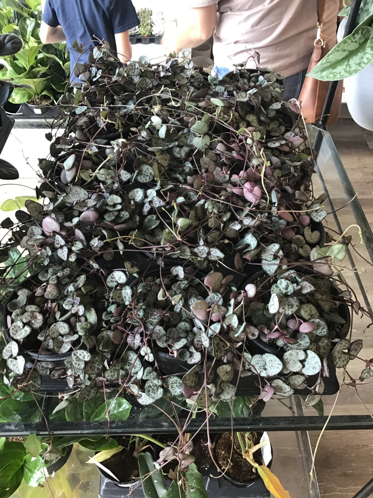 String of Hearts