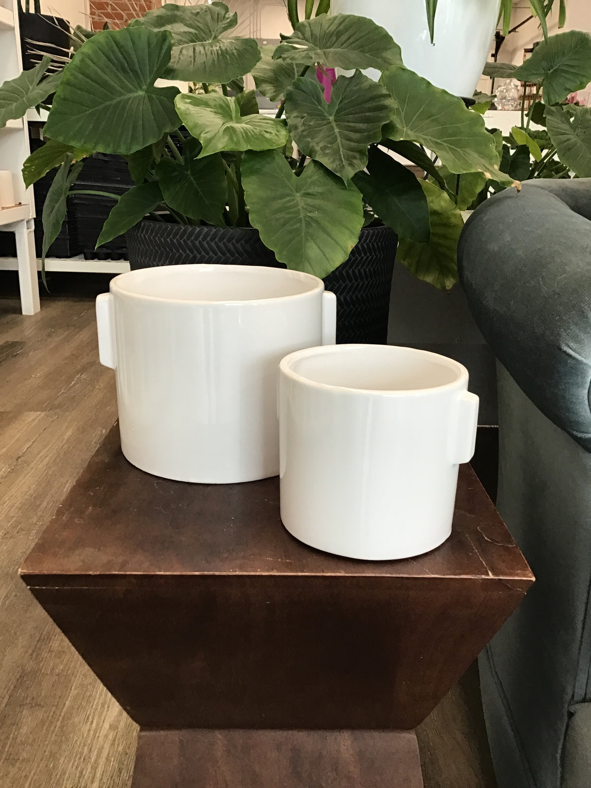 Big Ear Pot