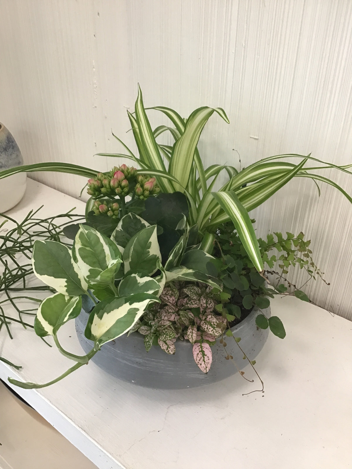 8” Euro Garden