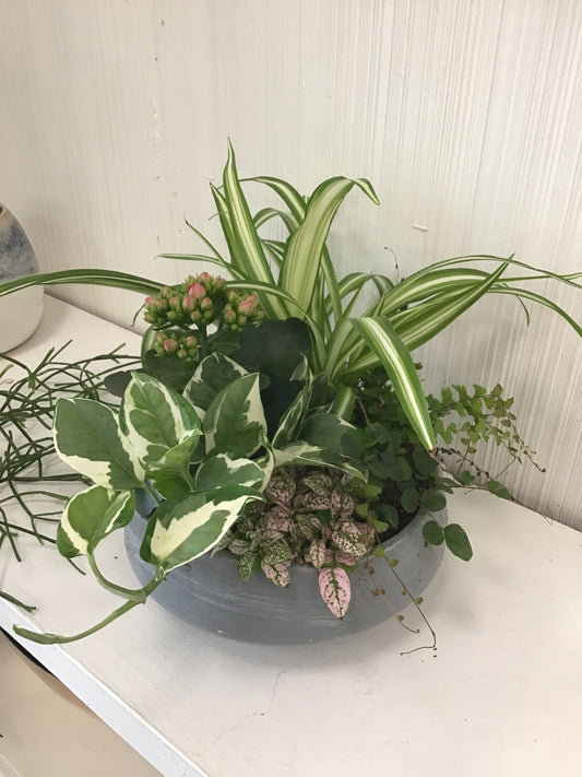 8” Euro Garden