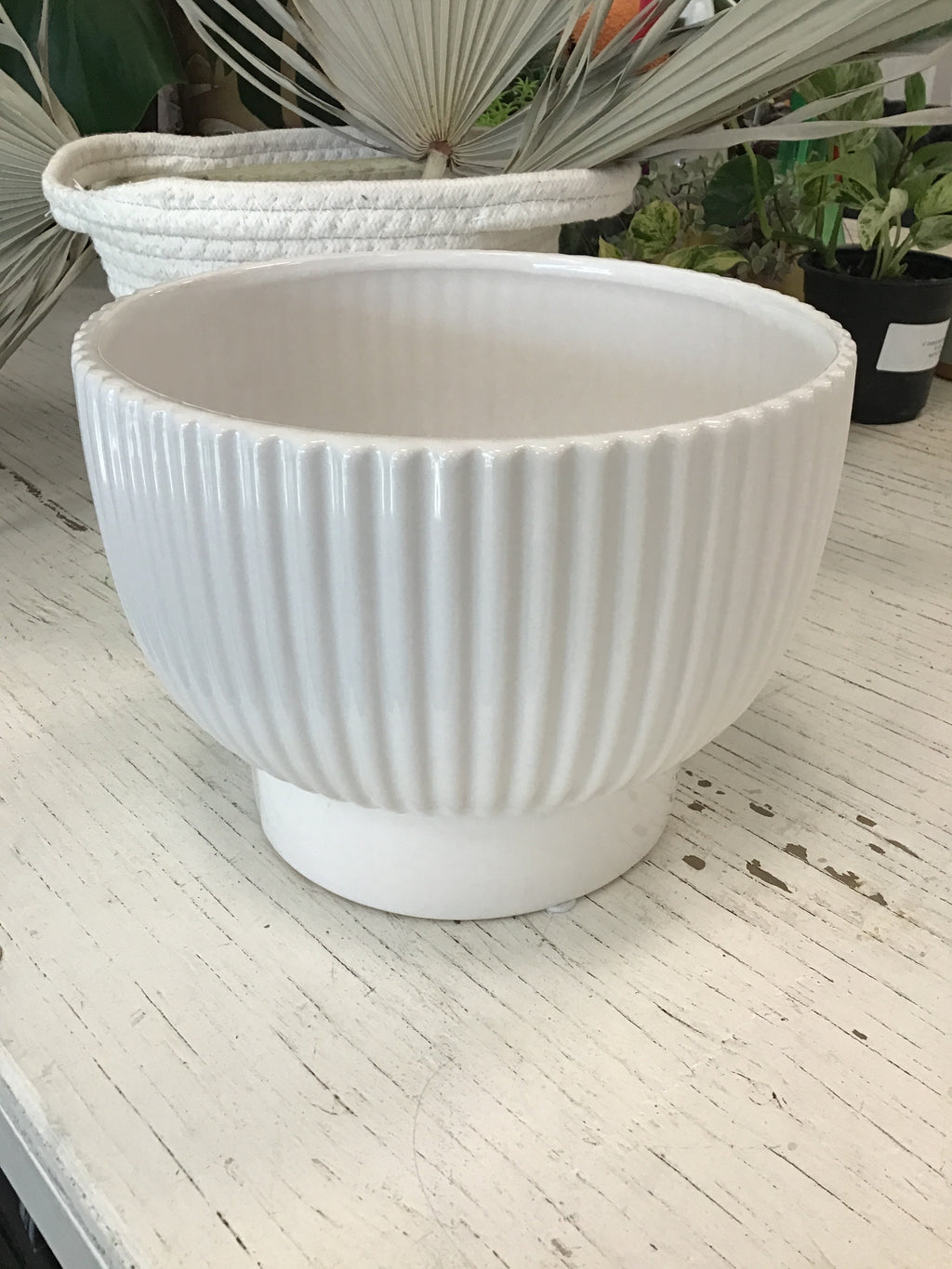 Shiny White Dolomite Container