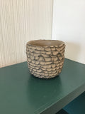 6” Brown Rainer Pot