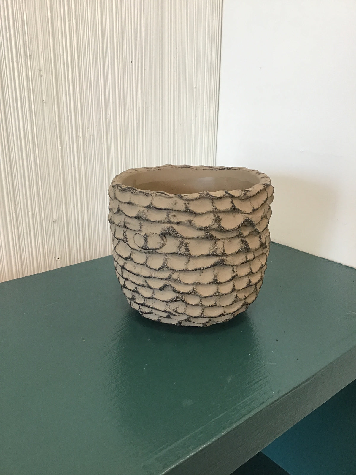 6” Brown Rainer Pot