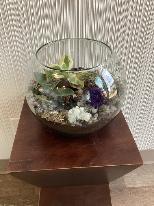 Terrarium Workshop featuring Family Jewels & Gems November 1 at 7 pm