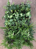 2” Assorted Tropicals